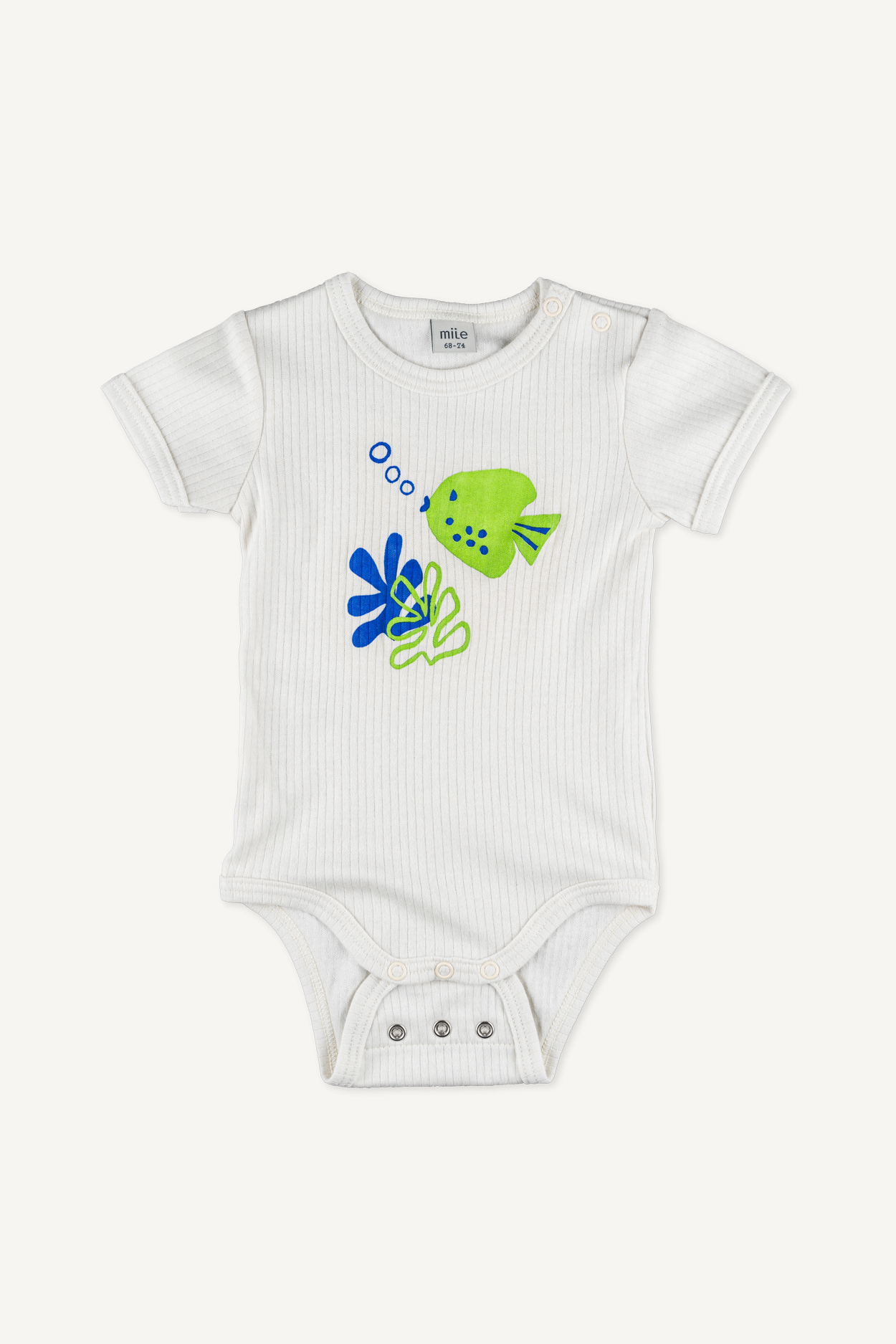 little fish