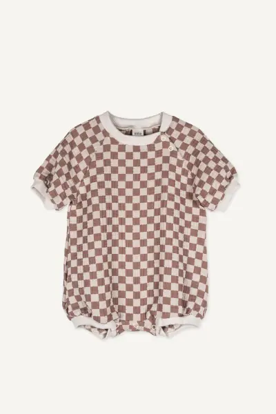 checkered musselino
