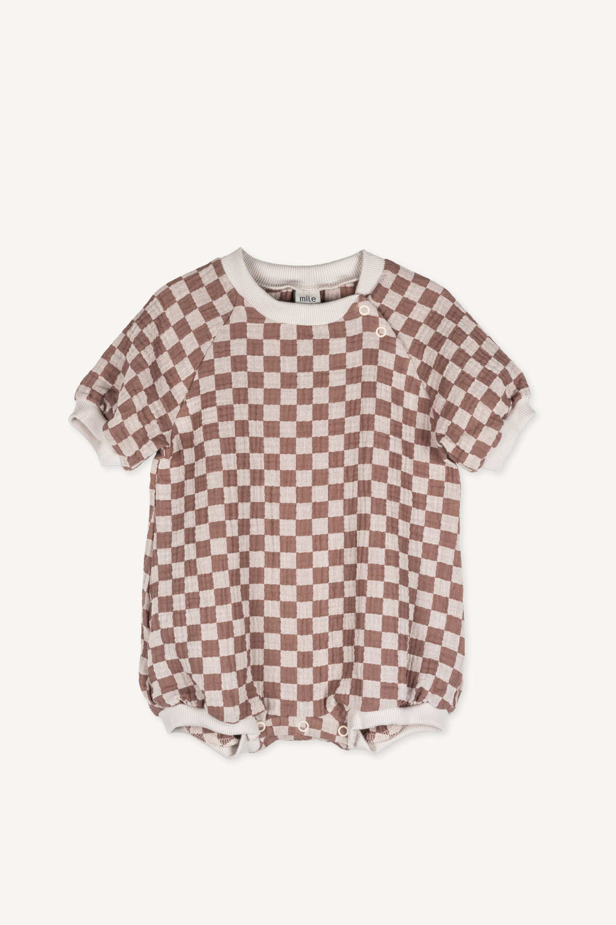 checkered musselino